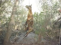 /album/fotogaleria/images-9-jpg1/